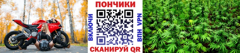 Купить наркотики цена Усть-Илимск Псилоцибиновые грибы A-PVP Конопля МЕФ COCAIN