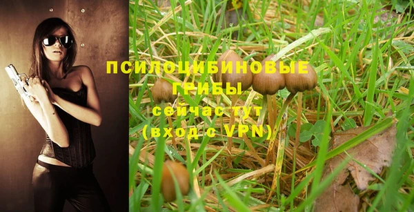 ALPHA-PVP Краснотурьинск