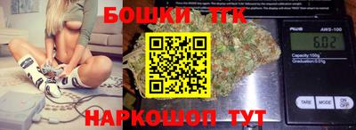 гашик Гатчина