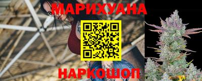 гашик Гатчина