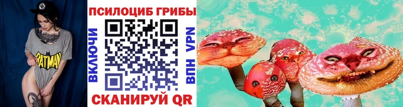 как найти закладки  Усть-Илимск  Псилоцибиновые грибы мухоморы 