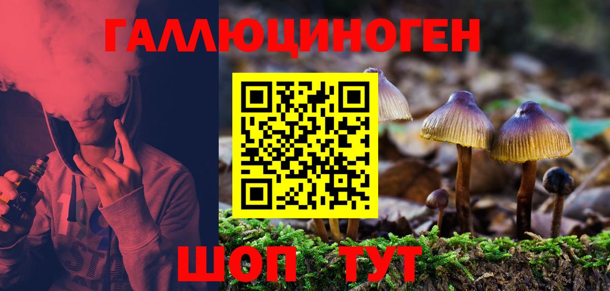 Усть-Илимск  магазин  наркотиков  Вход с VPN  Псилоцибиновые грибы MAGIC MUSHROOMS 